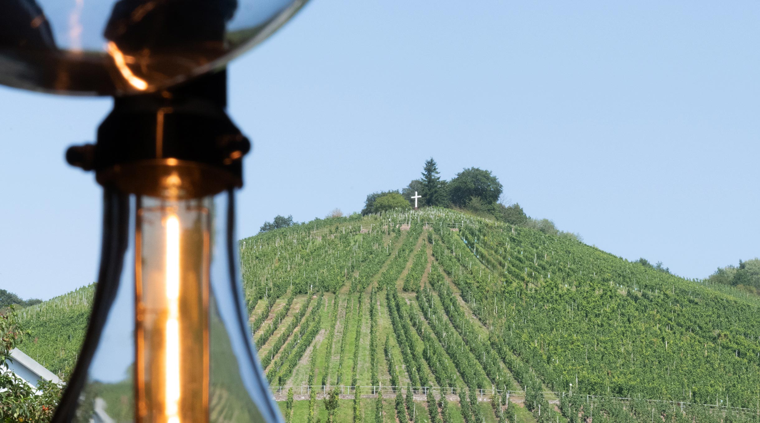 Blick auf einen Weinberg mit Rebstöcken und Gipfelkreuz vor blauem Himmel.